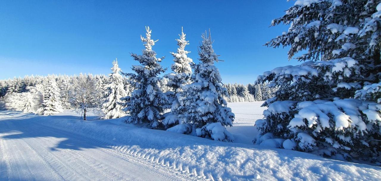 Apartmány Plešivec Abertamy Esterno foto