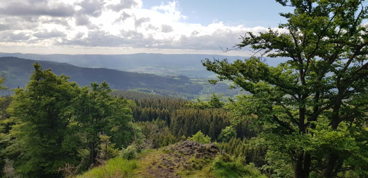 Apartmány Plešivec Abertamy Esterno foto